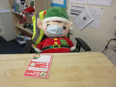 St. Declan’s Elves